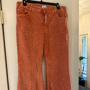 BDG Extreme Flair Pants